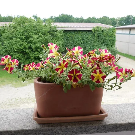 Ponte Pietra Massazza