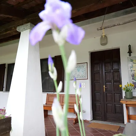 Ponte Pietra Bed and breakfast