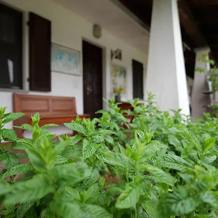 Ponte Pietra Massazza